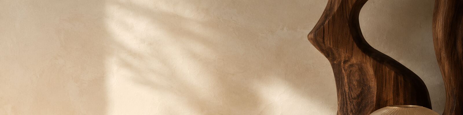 collection-banner-image