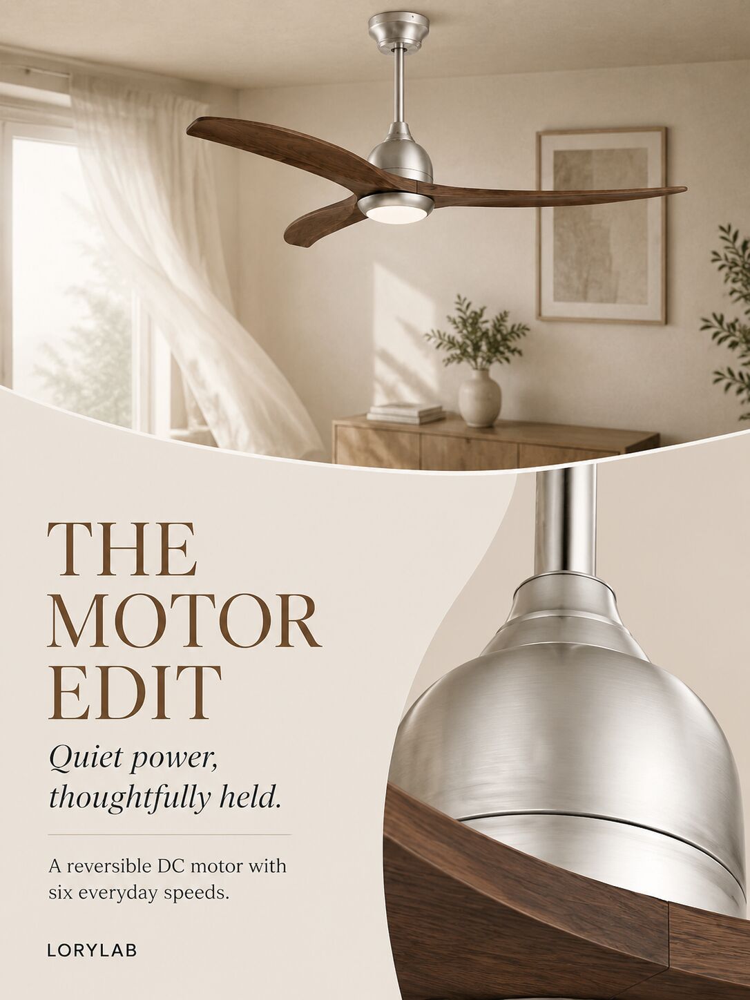 The Motor Edit — reversible DC motor