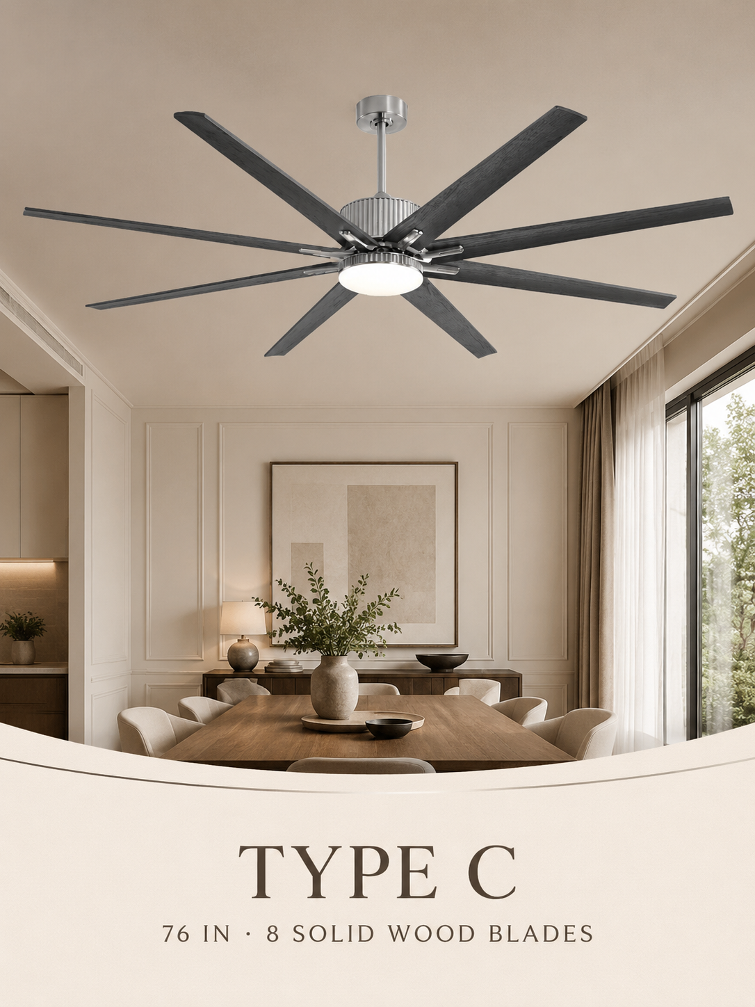 Type C ceiling fan finish display